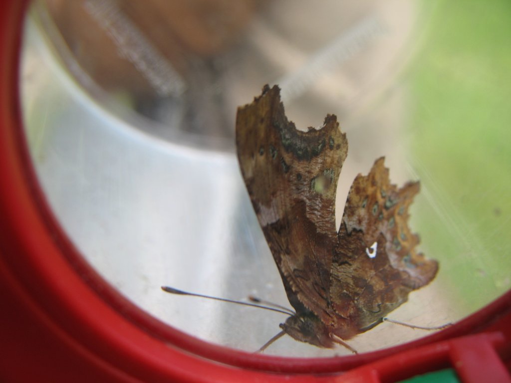 Robert le diable 001